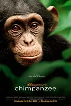 Chimpanzee preview